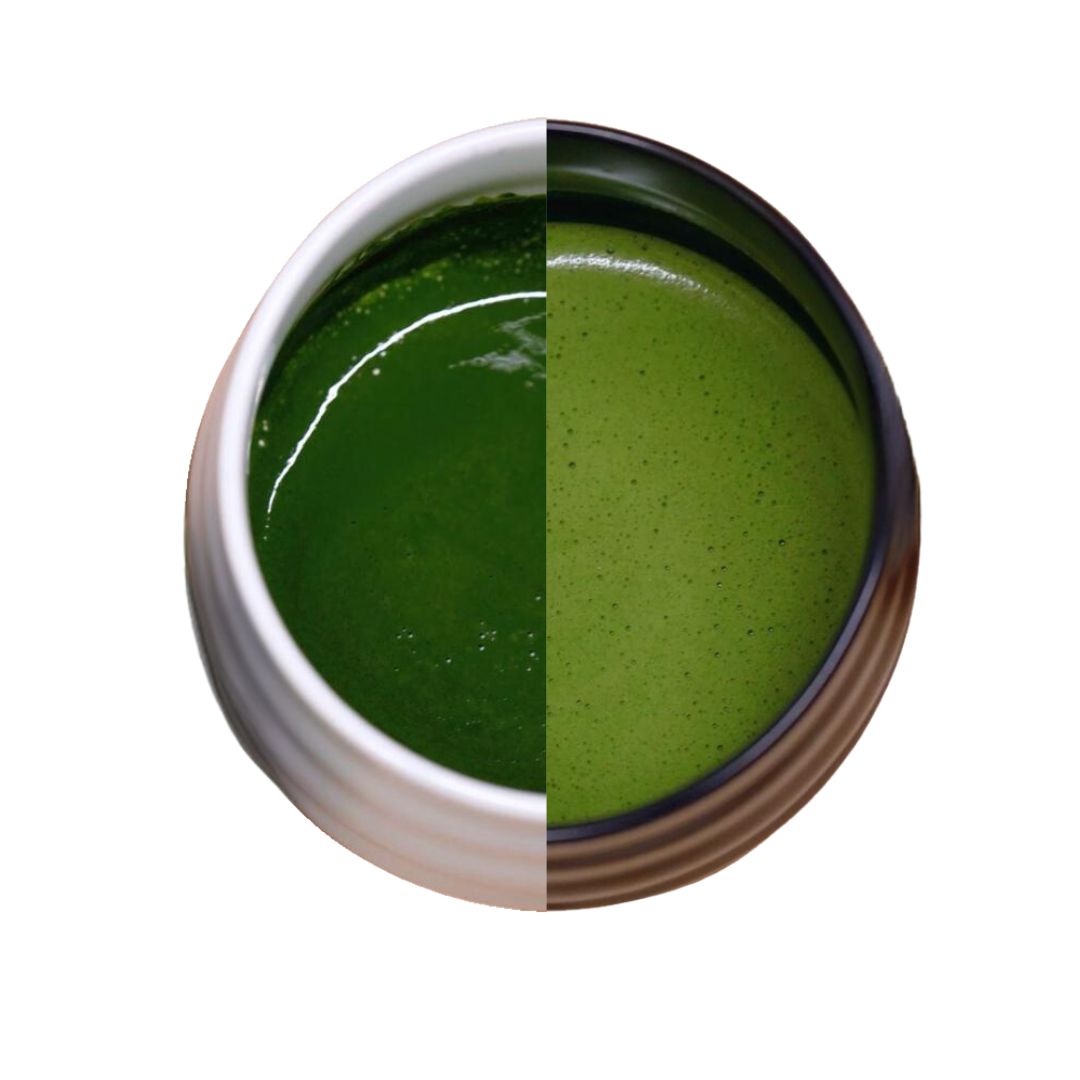 Traditional Matcha Tea Recipes: Usucha vs. Koicha – How to Make the Perfect Matcha