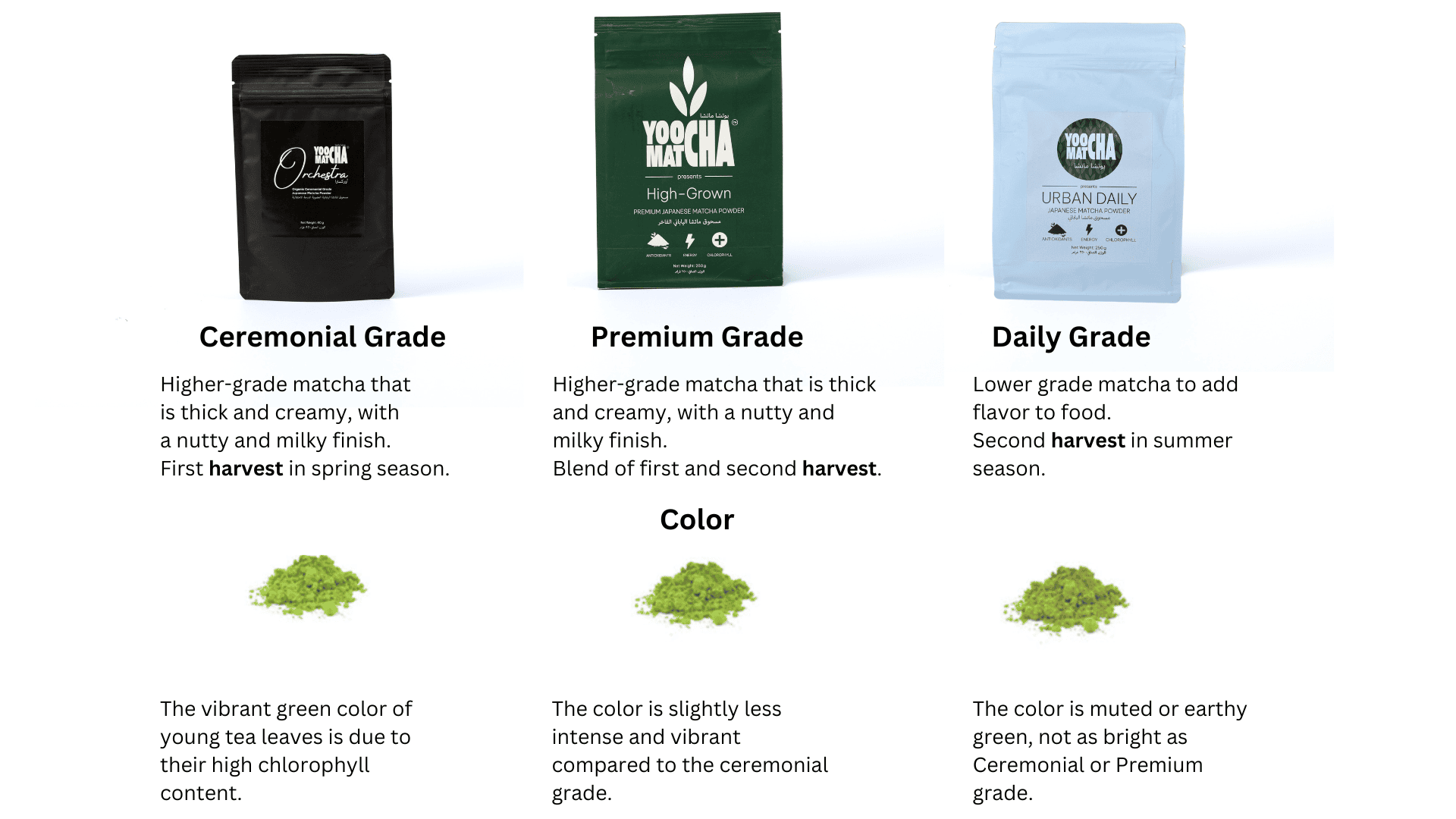 Product Range
We offer matcha powder, matcha & accessories. Do we offer it to businesses ? YES.